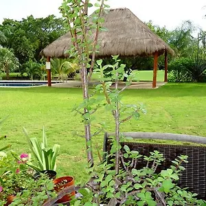 https://bb-moms-house.allrivieramayahotels.com